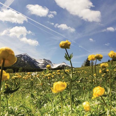 Rosa Bilo 2 Leilighet Carisolo Eksteriør bilde